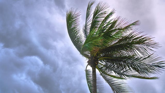 (Representational Image) Southern Ontario braces for summer-like temperatures and severe thunderstorms as a Colorado low moves in, with risks of hail, strong winds, and isolated tornadoes.