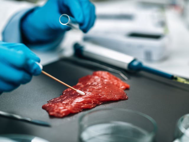 Se estudia la relación entre las intoxicaciones y carne y las achuras ingeridas. Foto Shutterstock.