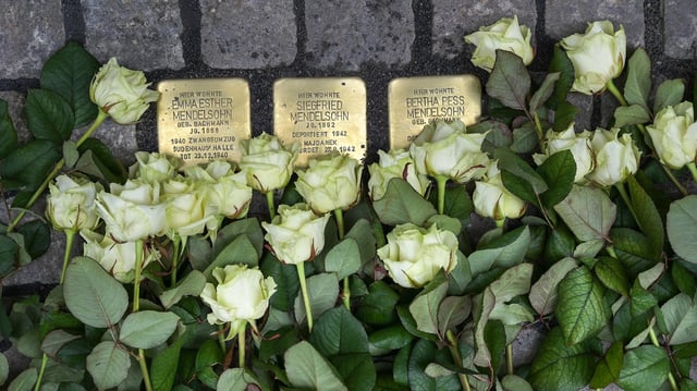 An drei neu verlegten Stolpersteine liegen mit weiße Rosen.