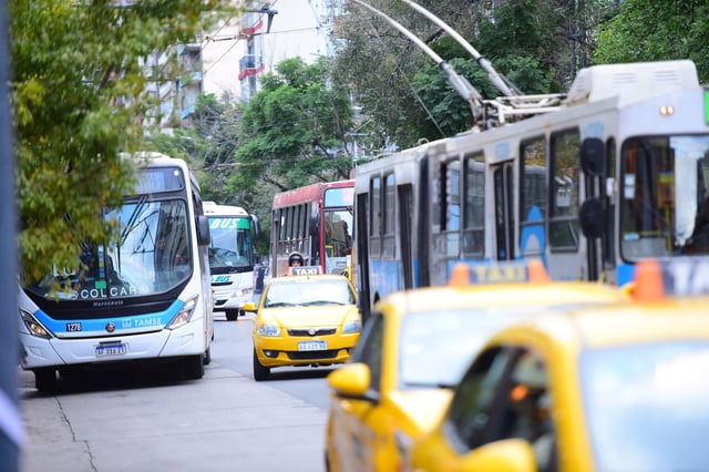 Colectivos del transporte urbano de pasajeros en la ciudad d Córdoba
