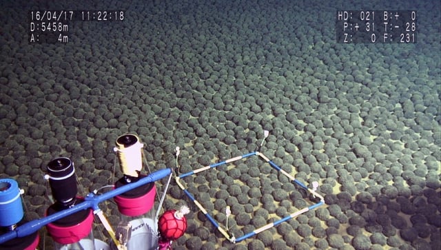 Polymetallic nodules grow with the help of microbes over millions of years around a kernel of organic matter, such as a shark's tooth or the ear-bone of a whale