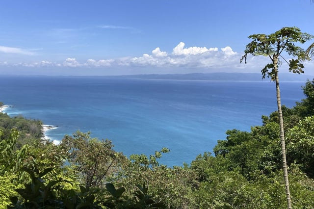 FILE - The view of Golfo Dulce and the Pacific Ocean is seen from a rainforest on the Osa Peninsula near Cabo Matapalo, Costa Rica, March 20, 2023. (AP Photo/Matt O'Brien, File)
