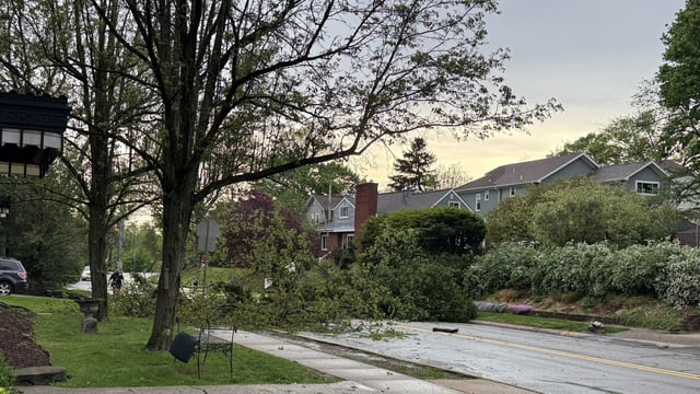 Pittsburgh storms: Tree uprooted across Beverly Road in Mt. Lebanon and a telephone pole snapped in half. 