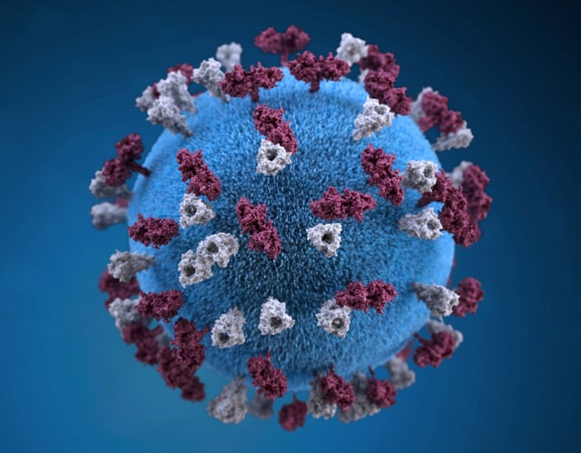 An illustration provides a 3D graphical representation of a spherical-shaped, measles virus particle studded with glycoprotein tubercles in this handout image obtained by Reuters April 9, 2019.  Centers for Disease Control and Prevention (CDC)/Handout via REUTERS/ File Photo