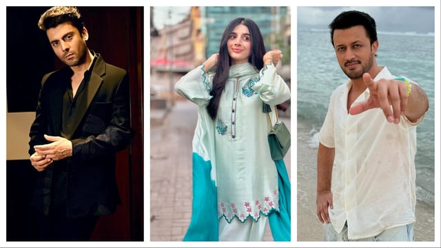 The selective restriction of Pakistani celebrities' Instagram accounts in India has sparked curiosity.