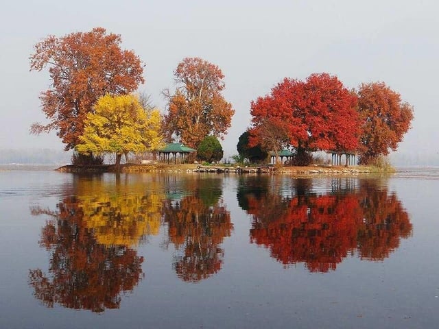 Photo/Sheikh Gulzar