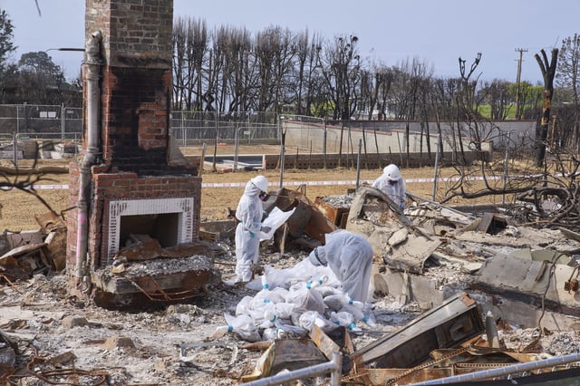 Cal/OSHA workers remove hazardous materials from a home destroyed by the Palisades Fire in the Pacific Palisades neighborhood of Los Angeles, Thursday, April 24, 2025. (AP Photo/Damian Dovarganes)