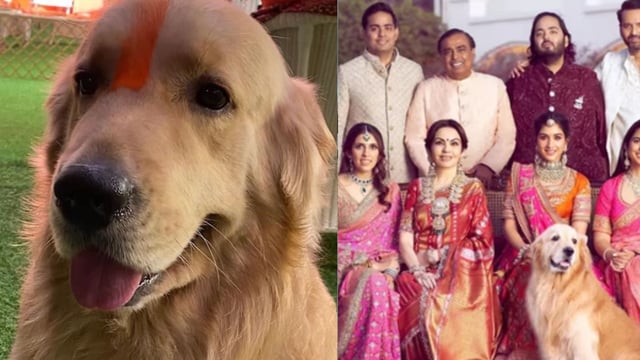 The family's pet, Happy, passed away on April 30.