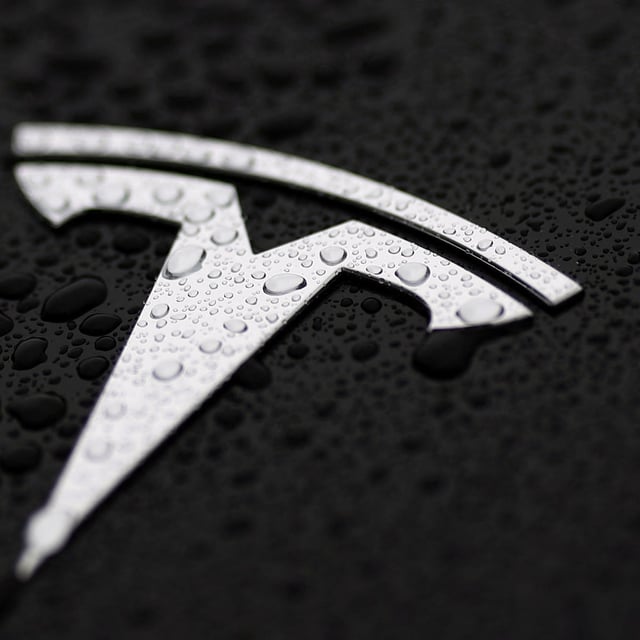 The logo of Tesla is seen on a Tesla car in Brussels, Belgium April 24, 2025. REUTERS/Yves Herman