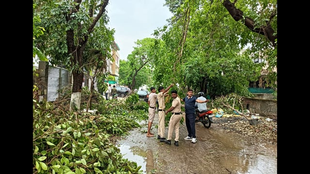 Gurugram police personnel removing uprooted trees at Palam Vihar Road after heavy rains lashed the city on Friday. (HT PHOTO)