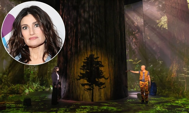 The Broadway musical Redwood, starring Idina Menzel (inset), will be closing on May 18 after being shut out of the 2025 Tony Awards. (Getty; Matthew Murphy and Evan Zimmerman)