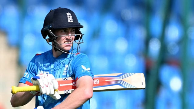Delhi Capitals mentor Kevin Pietersen opens up on Harry Brook pulling out of IPL 2025. 