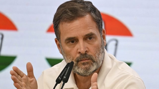 The petition claims that Rahul Gandhi's alleged citizenship of another country contravenes Indian law, which doesn't permit dual citizenship.