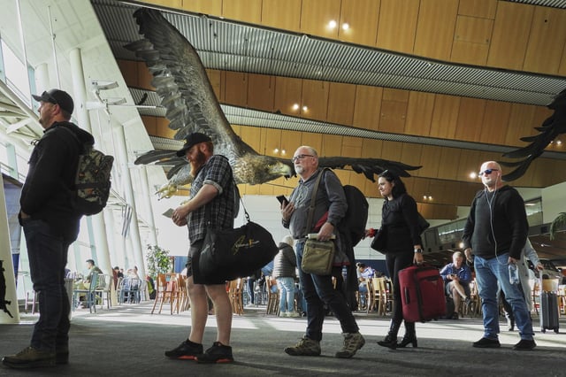 Passengers wait to board a flight at Wellington Airport below the sculpture of an eagle from the Hobbit films, in Wellington, New Zealand, Monday, May 5, 2025. (AP Photo/Charlotte Graham-McLay)