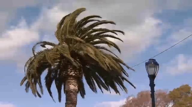 Gusty wind has triggered a High Wind Warning in the Bay Area. (Feb. 21, 2023)
