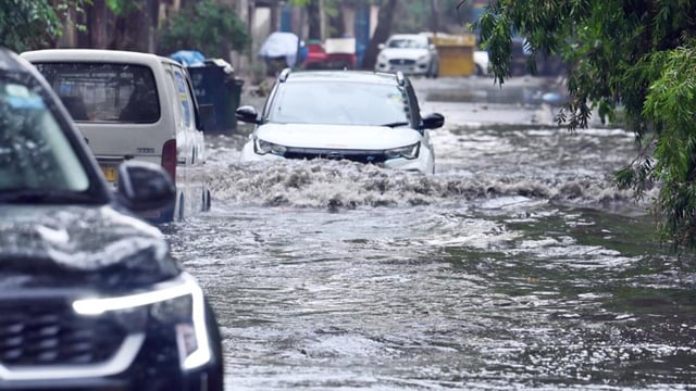 The announcement comes days after a thunderstorm on Friday caused widespread tree damage across the city. (Vipin Kumar/HT Photo)