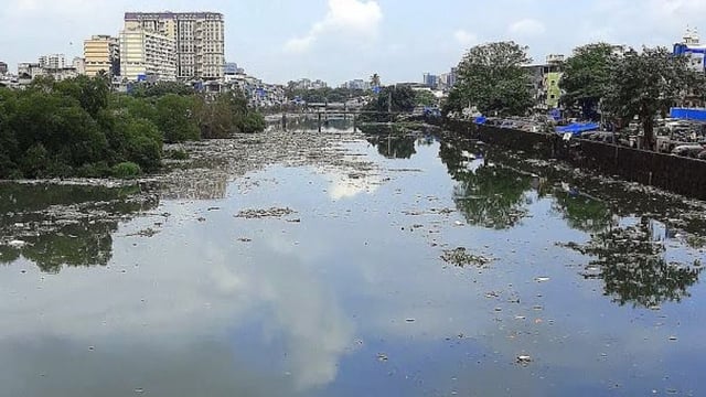 Mithi River