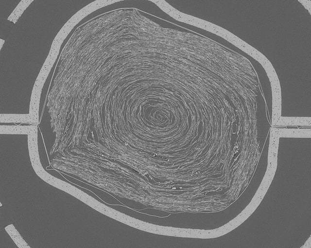 A scan of the inside of PHerc. 172, which cannot be physically unrolled or it could be damaged.