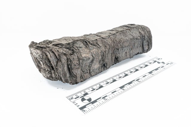PHerc. 172 was burned nearly 2,000 years ago, when Mount Vesuvius erupted in 79 AD.