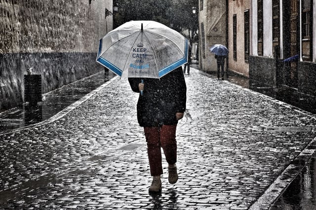 Persona paseando bajo la lluvia con un paraguas.