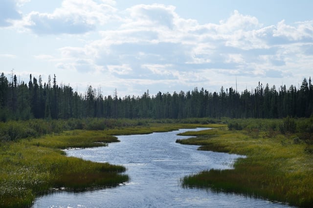 A stream runs along the outskirts of Neskantaga First Nation in Neskantaga, Ont., Sunday, Aug. 20, 2023. THE CANADIAN PRESS/Chris Young