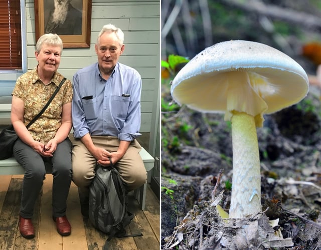 Heather Wilkinson (left) and Ian Wilkinson (right) attended a lunch with a relative that led to Heather's death and Ian left fighting for his life. Police believe they were poisoned with death cap mushrooms.