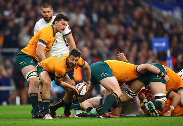 Rugby Union - Autumn Internationals - England v Australia - Allianz Stadium Twickenham, London, Britain - November 9, 2024 Australia's Jake Gordon in action Action Images via Reuters/Andrew Boyers/File Photo