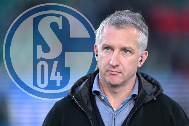 Frank Baumann ist aber Juni neuer Schalke-Boss und ist bereits auf Trainer-Suche.