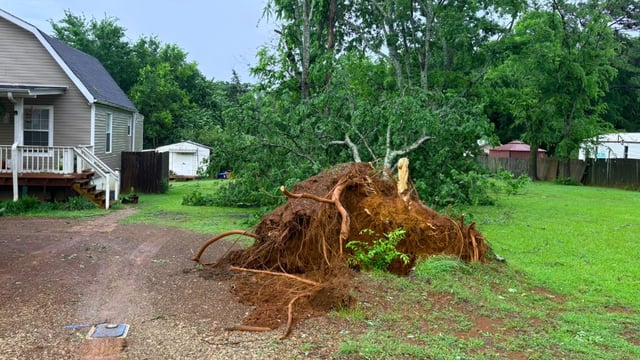 Uprooted tree in Smith County, Texas after storms swept through the state on Tuesday, May 6, 2025