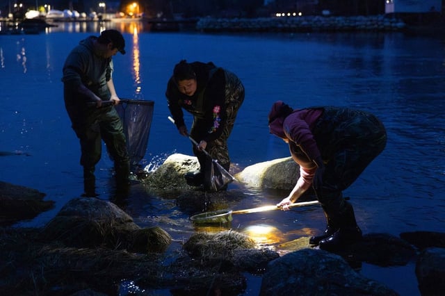 Indigenous fishers dip for elvers on the Hubbards River, in Hubbards, N.S., on April 15, 2025. THE CANADIAN PRESS/Kelly Clark