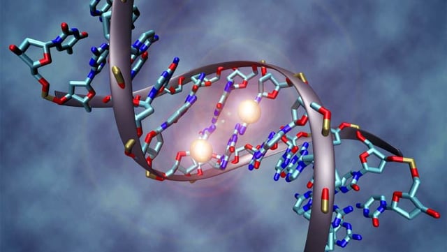 Illustration of a DNA molecule. Image credit: Christoph Bock, Max Planck Institute for Informatics / CC BY-SA 3.0.
