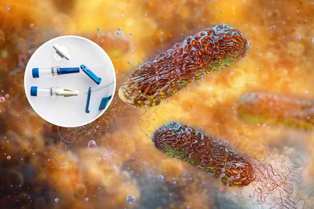 Pictured: an artist&#39;s impression of Pseudomonas aeruginosa bacteria, main, and plastic medical equipment, inset.