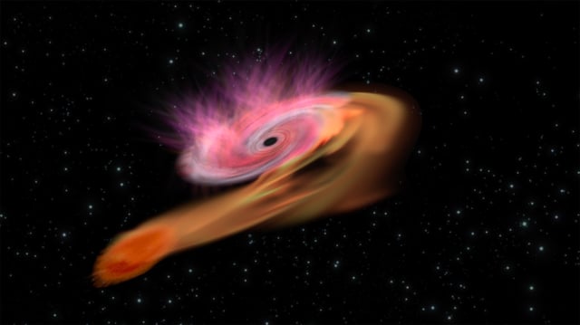 Artist's impression of a massive black hole, located in the dark oval at the center of the swirling cloud, accreting mass from a star (orange) that ventured too close. The star feels a gravitational tug from the black hole that is stronger on one side than on the other, which eventually rips the star apart. In the process, stellar material starts flowing onto the black hole, part of which is captured and the rest ejected, producing a sudden boost in luminosity, especially in X-rays.