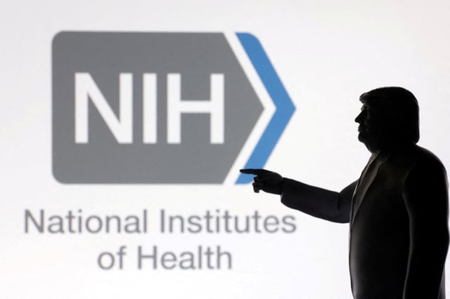 A 3D-printed miniature model of U.S. President Donald Trump with the National Institutes of Health (NIH) logo in the background is seen in this illustration taken April 23, 2025. REUTERS/Dado Ruvic/Illustration/File Photo