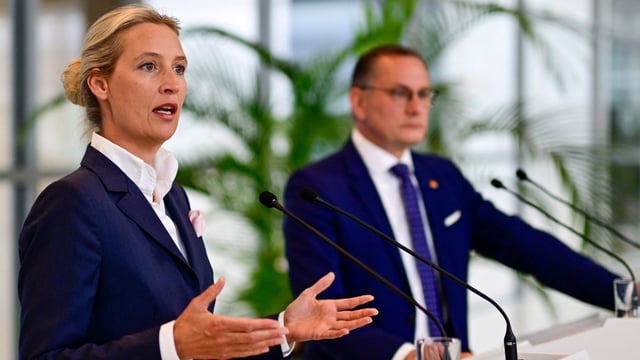 Alice Weidel, Alternative for Germany’s co-leader, was singled out for criticism