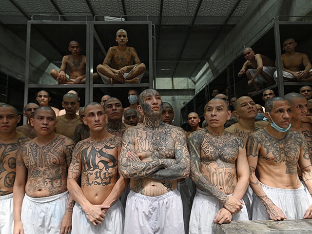 Inmates remain in a cell at the Counter-Terrorism Confinement Centre (CECOT) mega-prison, where hundreds of members of the MS-13 and 18 Street gangs are being held, in Tecoluca, El Salvador on January 27, 2025. The CECOT, the largest prison in Latin America and emblem of the war against gangs of the government of President Nayib Bukele, celebrates two years since it was inaugurated on February 1. (Photo by Marvin RECINOS / AFP) (Photo by MARVIN RECINOS/AFP via Getty Images)