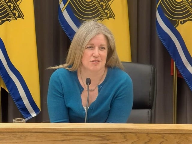 Premier Susan Holt and Health Minister John Dornan both say their investigation into what is causing atypical neurological symptoms will continue despite the recent release of a study debunking the existence of a 'mystery disease.' 