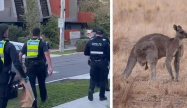 Two men have been charged in connection after allegedly running down a kangaroo in an outer Melbourne suburb.