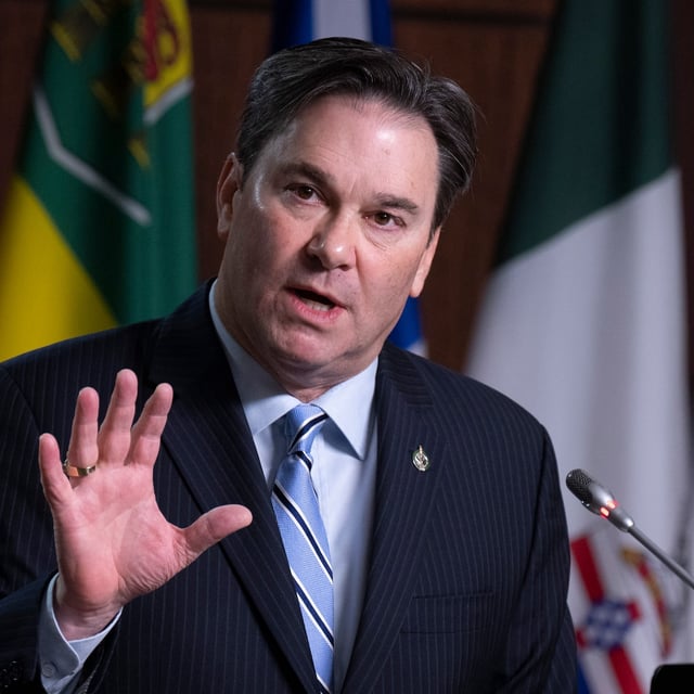 Interim NDP Leader Don Davies says his party is in the "very early" stages of talks with the government about getting official party status. THE CANADIAN PRESS/Adrian Wyld