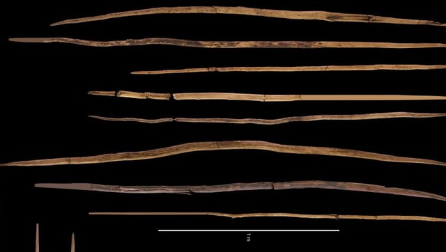 Neanderthals Used World’s Oldest Wooden Spears To Hunt Horses 200,000 Years Ago
