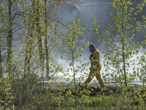 Firefighters work to contain a fire near 186 Street and 107 Avenue on Tuesday. The province stepped in to oversee firefighting efforts  Friday as evacuations broadened in the Sturgeon County fire.