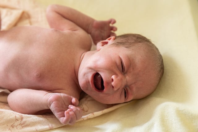 Parents have loved the names Olivia, Emma, Liam and Noah for the last several years.