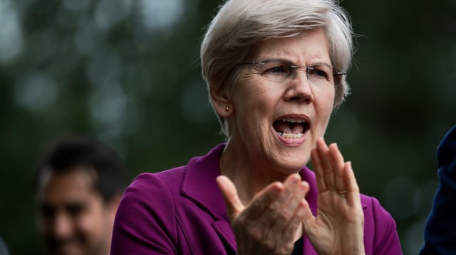 Senator Elizabeth Warren (	Kayla Bartkowski/Getty Images)