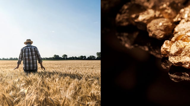 Bei der Feldarbeit entdeckte ein Bauer in Frankreich mehr als 150 Tonnen Gold auf seinem Land  