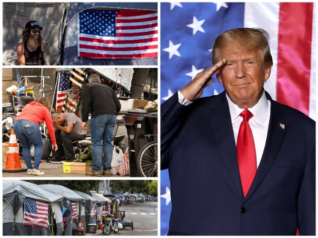 Trump to Use Illegal Alien Housing Funds to Build National Homeless Veterans Center (FILE: Getty Images)