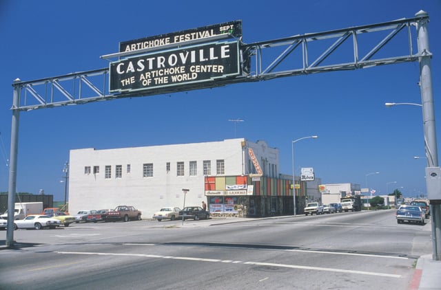 The annual Monterey County Artichoke Festival, which began in Castroville, was canceled weeks before it was slated for Salinas in June. 