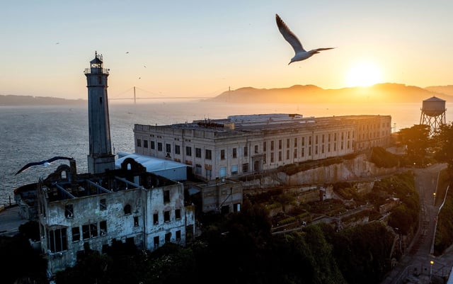 A bird flies this month above Alcatraz Island in the San Francisco Bay in California.