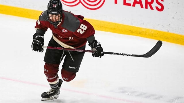 Jan 13, 2024; Montreal, Quebec, CANADA; Montreal forward Catherine Dubois (28) skates towards the play against Boston  during the third period in a PWHL ice hockey game at Verdun Auditorium. Mandatory Credit: David Kirouac-Imagn Images