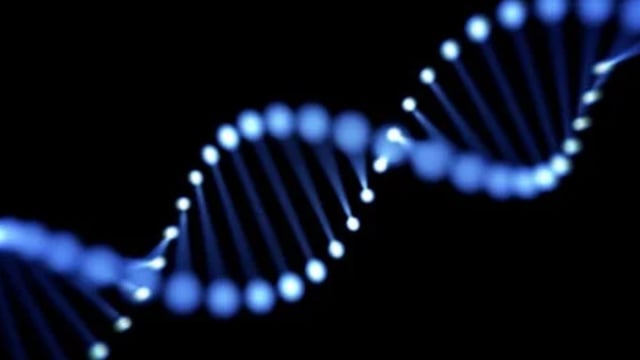 Spoan syndrome is a genetic mutation that progressively weakens the nervous system.