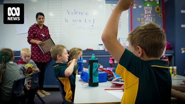 A young student raises his hand in a classroom setting.